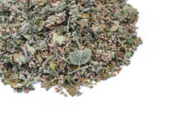 висушена та подрібнена ехінацея