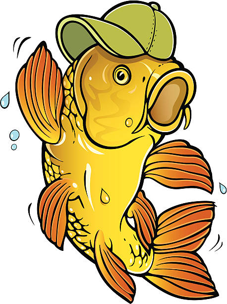 carp fish clip art free - photo #47