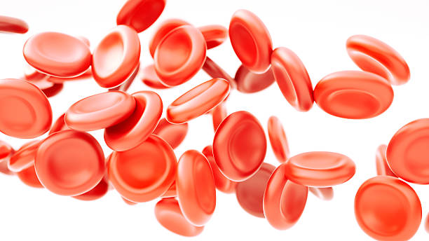 clipart red blood cell - photo #46