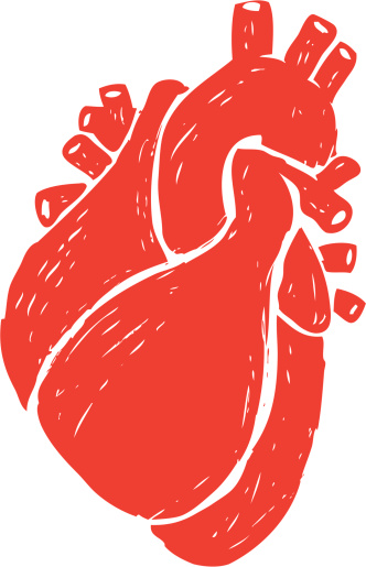 clipart of human heart - photo #40