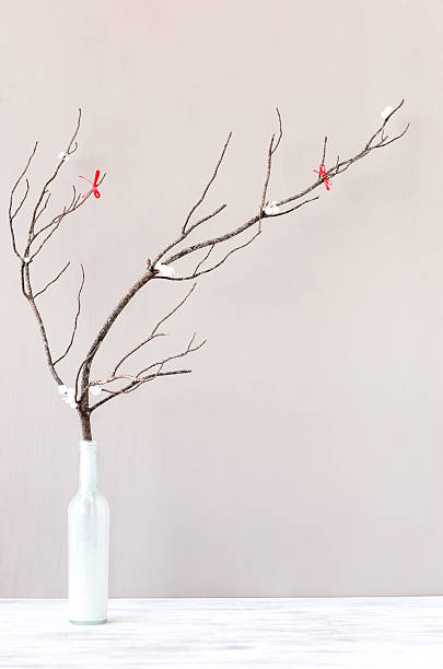 Decorative Branches For Vases Pictures Images And Stock Photos