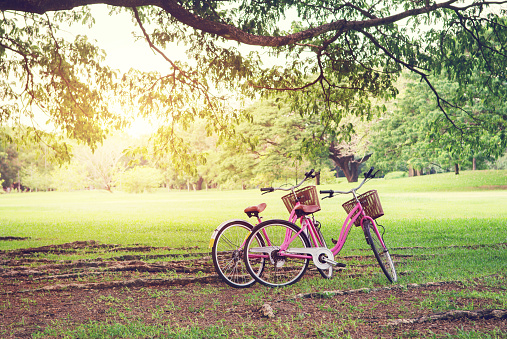 bicycle-with-summer-grass-field-and-tree-picture-id538884094