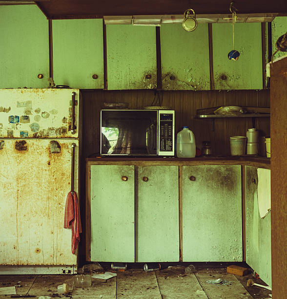 Dirty Kitchen Pictures, Images and Stock Photos - iStock