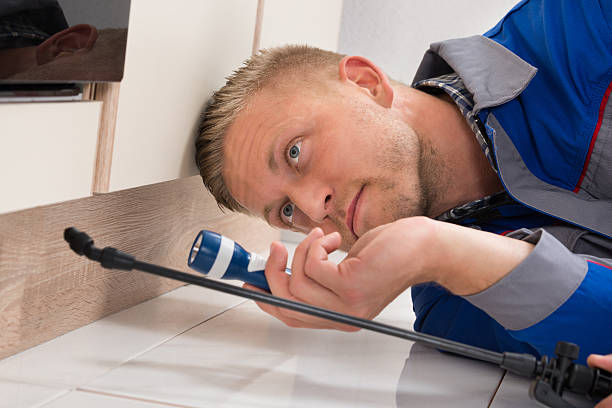 worker spraying insecticide picture