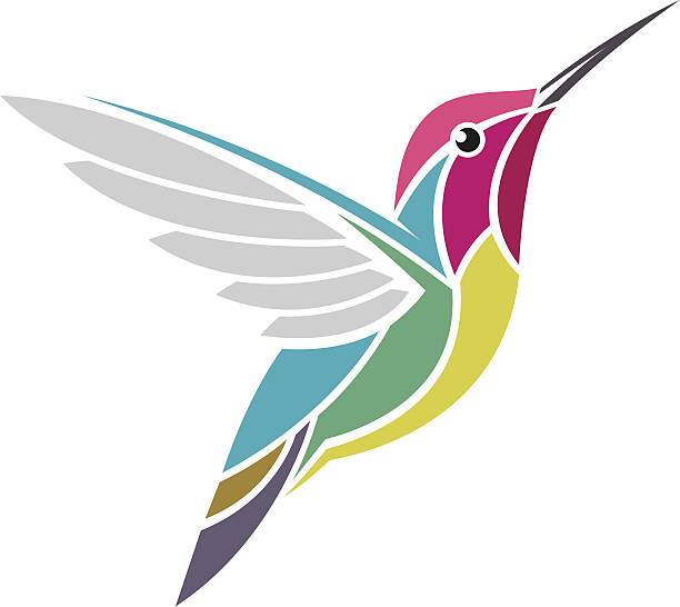 Hummingbird Clip Art, Vector Images & Illustrations iStock