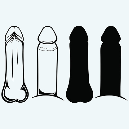 Clip Art Penis 20