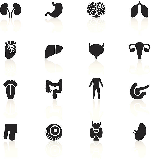 human symbols clip art - photo #36