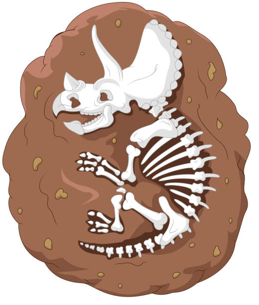 dinosaur fossil clip art - photo #44