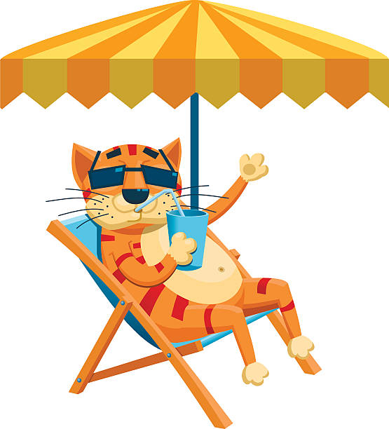 Sonnenstuhl Clipart sdatec.com