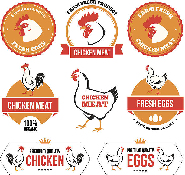 chicken meat clipart - photo #46