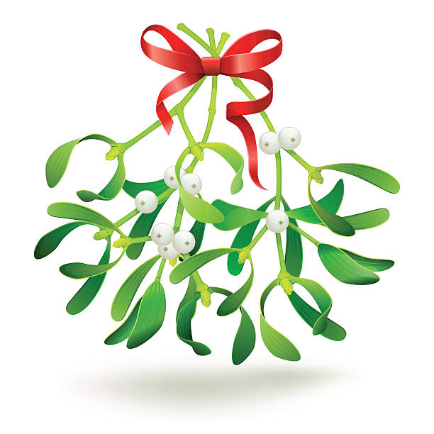 free clipart christmas mistletoe - photo #35