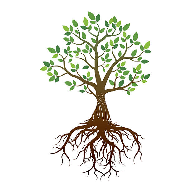 clipart tree with roots and fruit - photo #20
