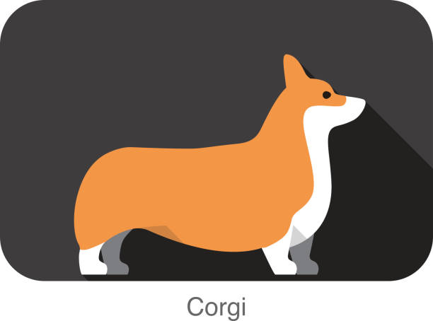 corgi dog clipart - photo #23