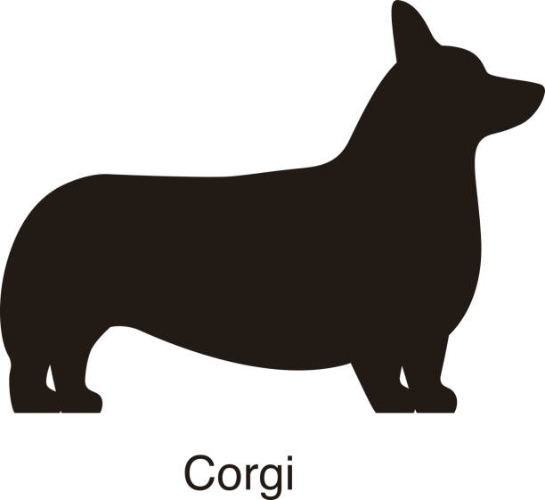 corgi dog clipart - photo #31