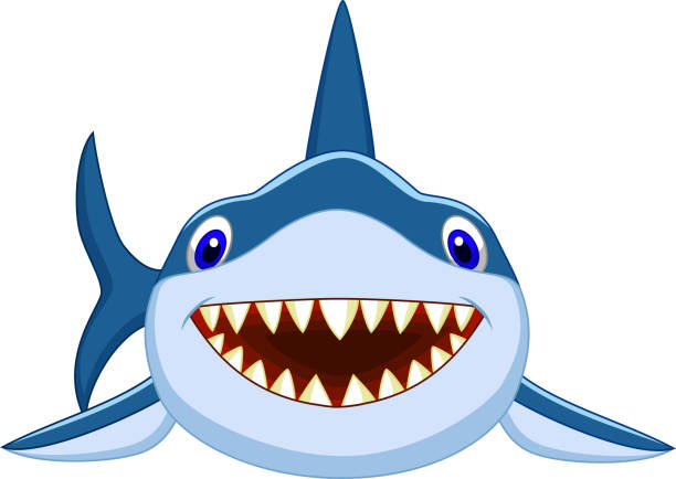 Shark Clip Art, Vector Images & Illustrations - iStock