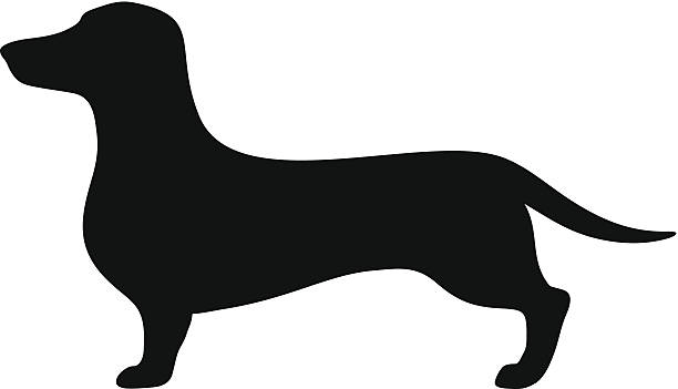 dachshund dog clipart - photo #10