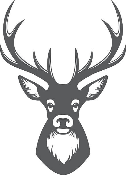 deer vector clipart - photo #33