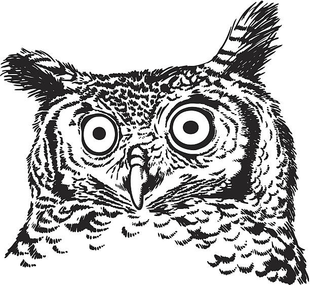 eagle owl clip art - photo #10