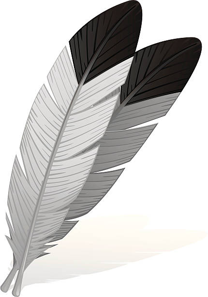 free clip art eagle feather - photo #37
