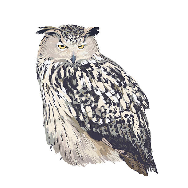 eagle owl clip art - photo #3