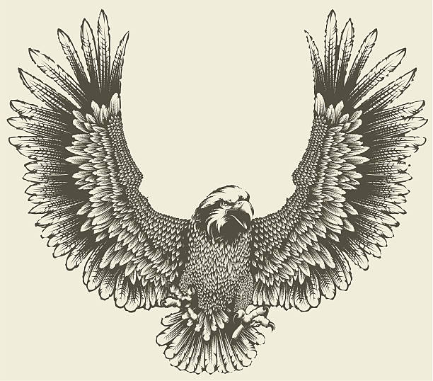 free eagle feather clip art - photo #35