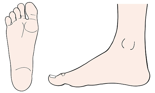 clipart human foot - photo #28