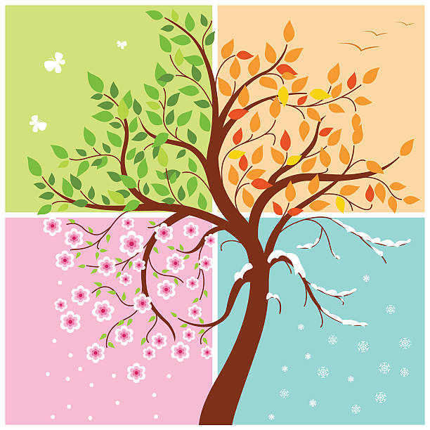 Four Seasons Clip Art, Vector Images & Illustrations - iStock