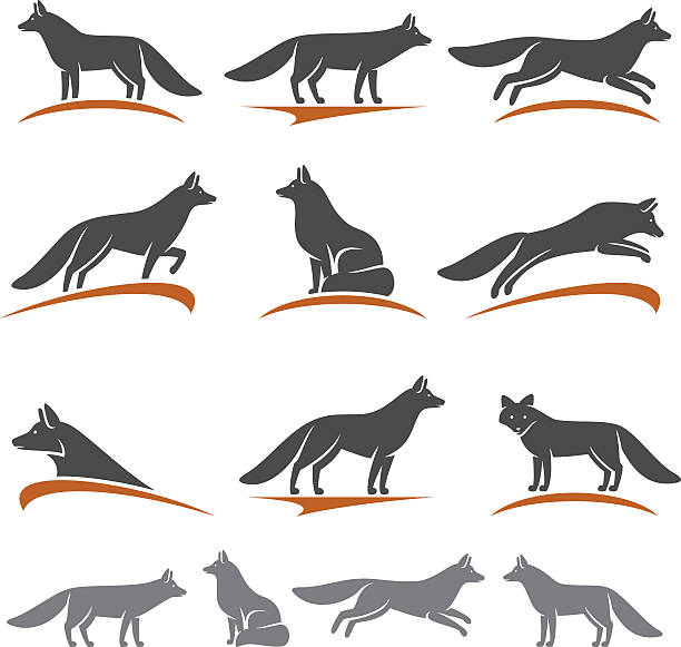 coyote clip art illustrations - photo #8