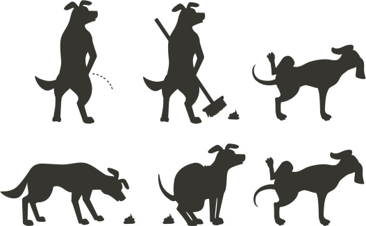 dog peeing clipart - photo #20