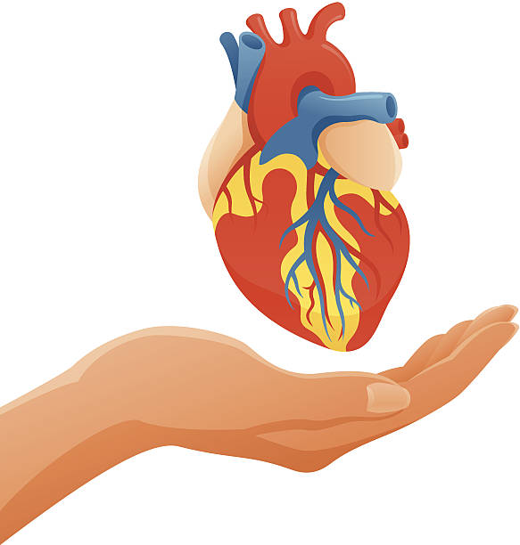 Heart Attack Clip Art, Vector Images & Illustrations - iStock
