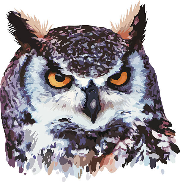 eagle owl clip art - photo #24