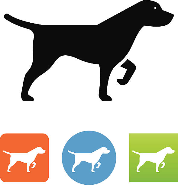 free clip art hunting dogs - photo #23