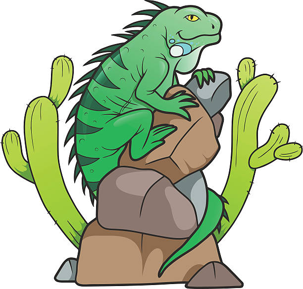 iguana illustrations clipart - photo #25