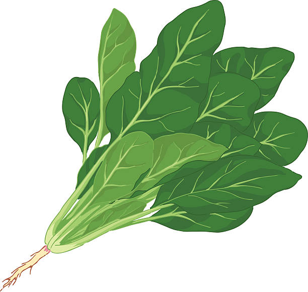 clipart of green vegetables - photo #43