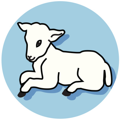 Lamb Clip Art, Vector Images & Illustrations - iStock