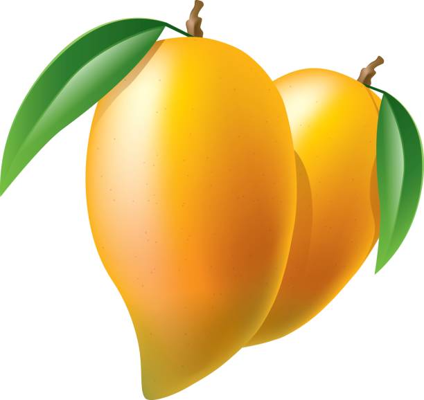 cliparts mango - photo #27