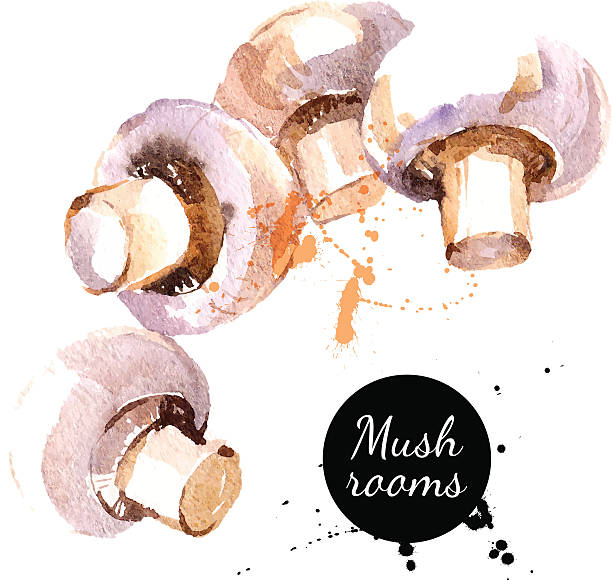 oyster mushroom clip art - photo #29