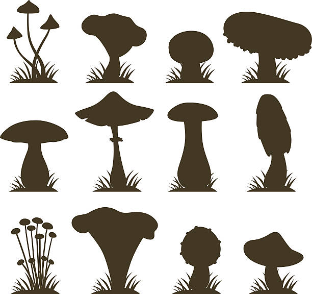 mushroom silhouette clip art - photo #21