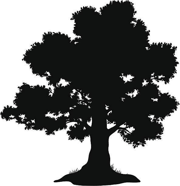 oak tree clip art vector - photo #41