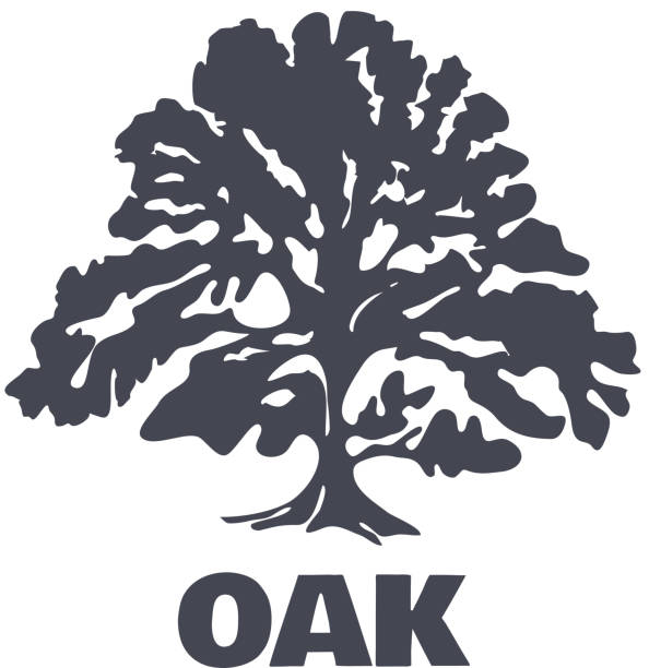 oak tree clip art vector - photo #37