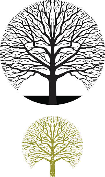 oak tree clip art vector - photo #48
