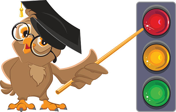 Owl Teacher And Traffic Light Clip Art, Vector Images ...