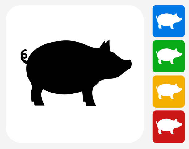 pig clipart vector - photo #22