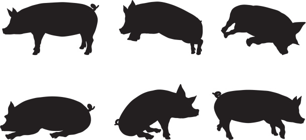 pig clipart vector - photo #46