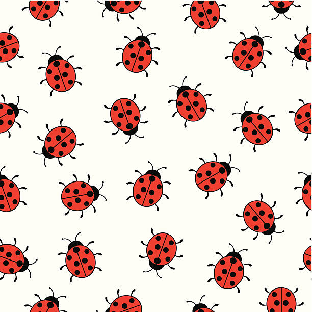 ladybug clipart vector - photo #50