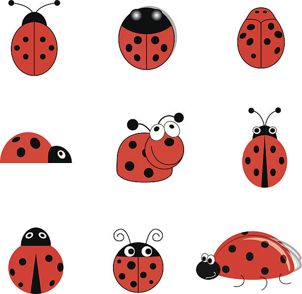 ladybug clipart vector - photo #25