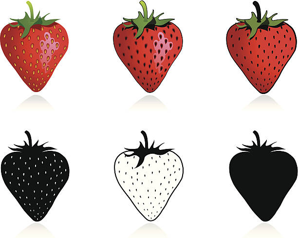strawberry clipart vector - photo #48