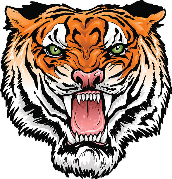 tiger roar clipart - photo #23