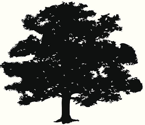 oak tree clip art vector - photo #30