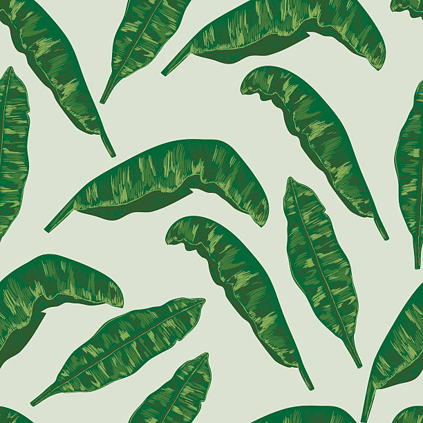 clip art banana leaf - photo #29